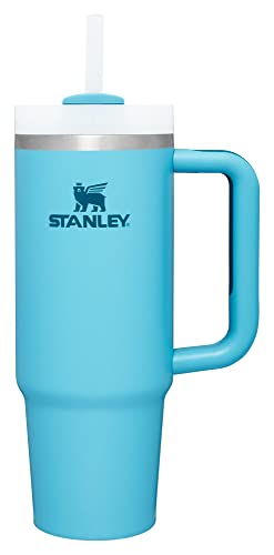 Stanley Quencher H2.0 FlowState Stainless Steel Vacuum Insulated Tumbler with Lid and Straw, 30 oz